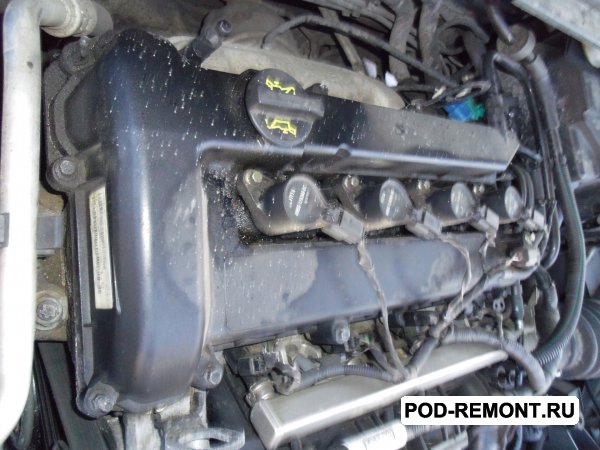 Продам Двигатель Форд Фокус 2 2. 0  для Ford Focus
