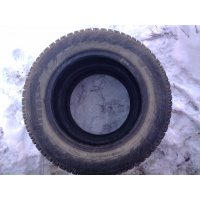 Продам Pirelli Winter 185/65 R14