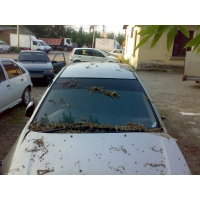 Продам а/м Toyota Corolla битый